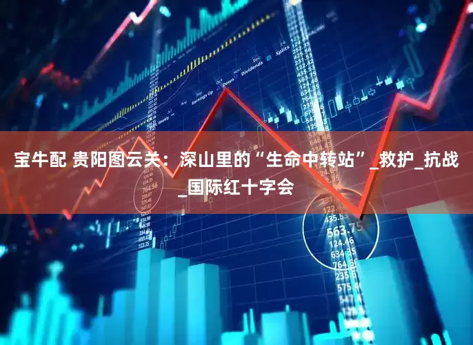 宝牛配 贵阳图云关：深山里的“生命中转站”_救护_抗战_国际红十字会
