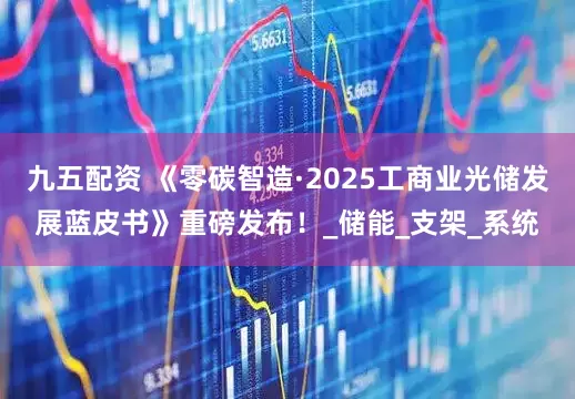 九五配资 《零碳智造·2025工商业光储发展蓝皮书》重磅发布！_储能_支架_系统