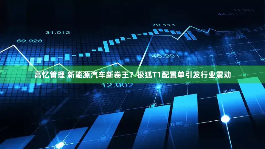 高忆管理 新能源汽车新卷王？极狐T1配置单引发行业震动