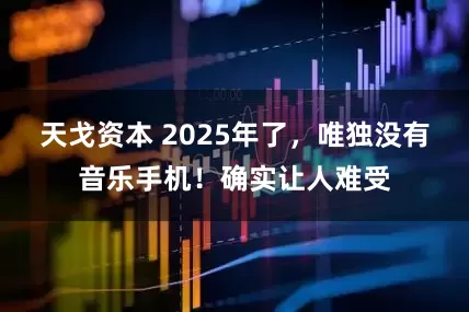天戈资本 2025年了，唯独没有音乐手机！确实让人难受